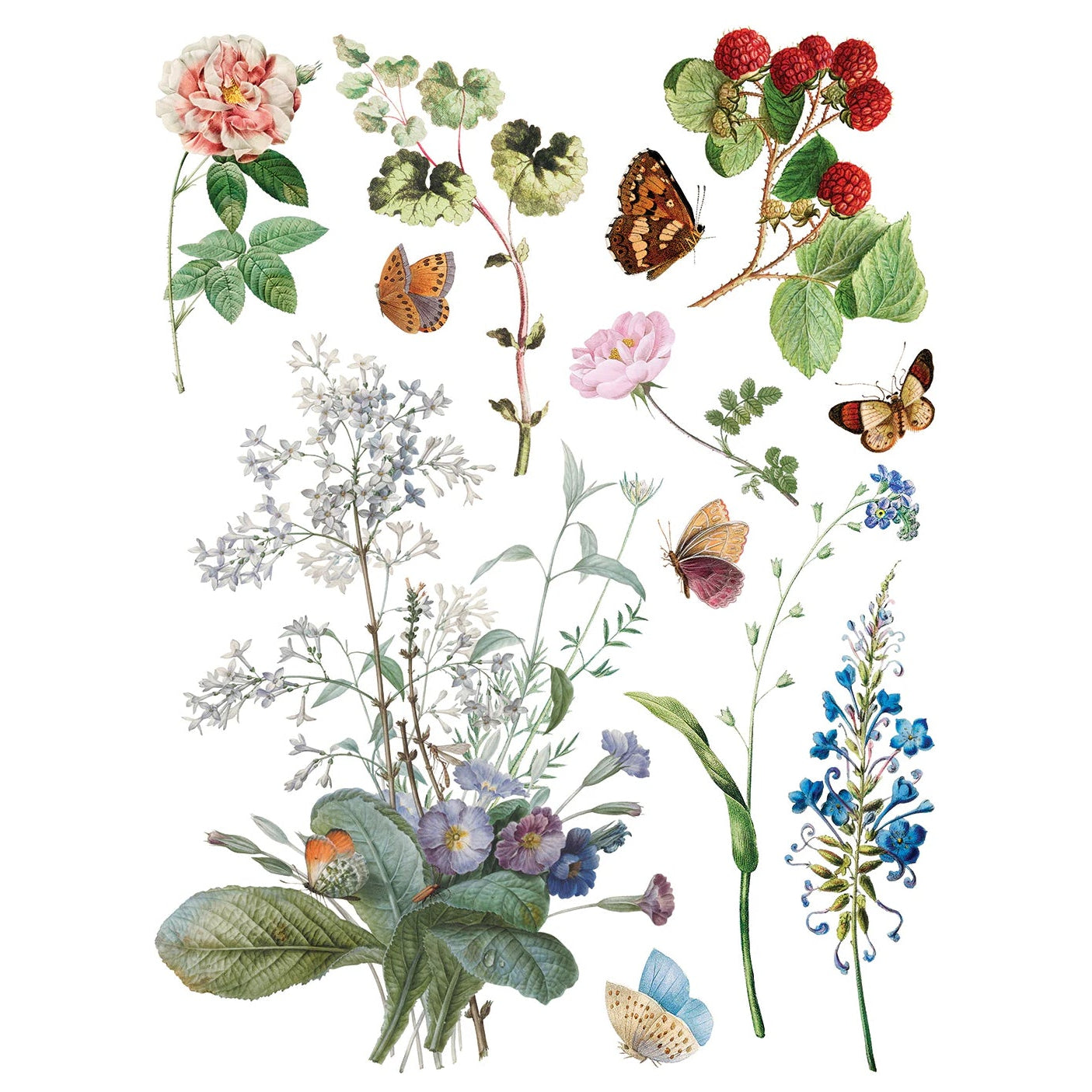 IOD Marche Des Fleurs Decor Transfer by Iron Orchid Designs - 8 Sheets