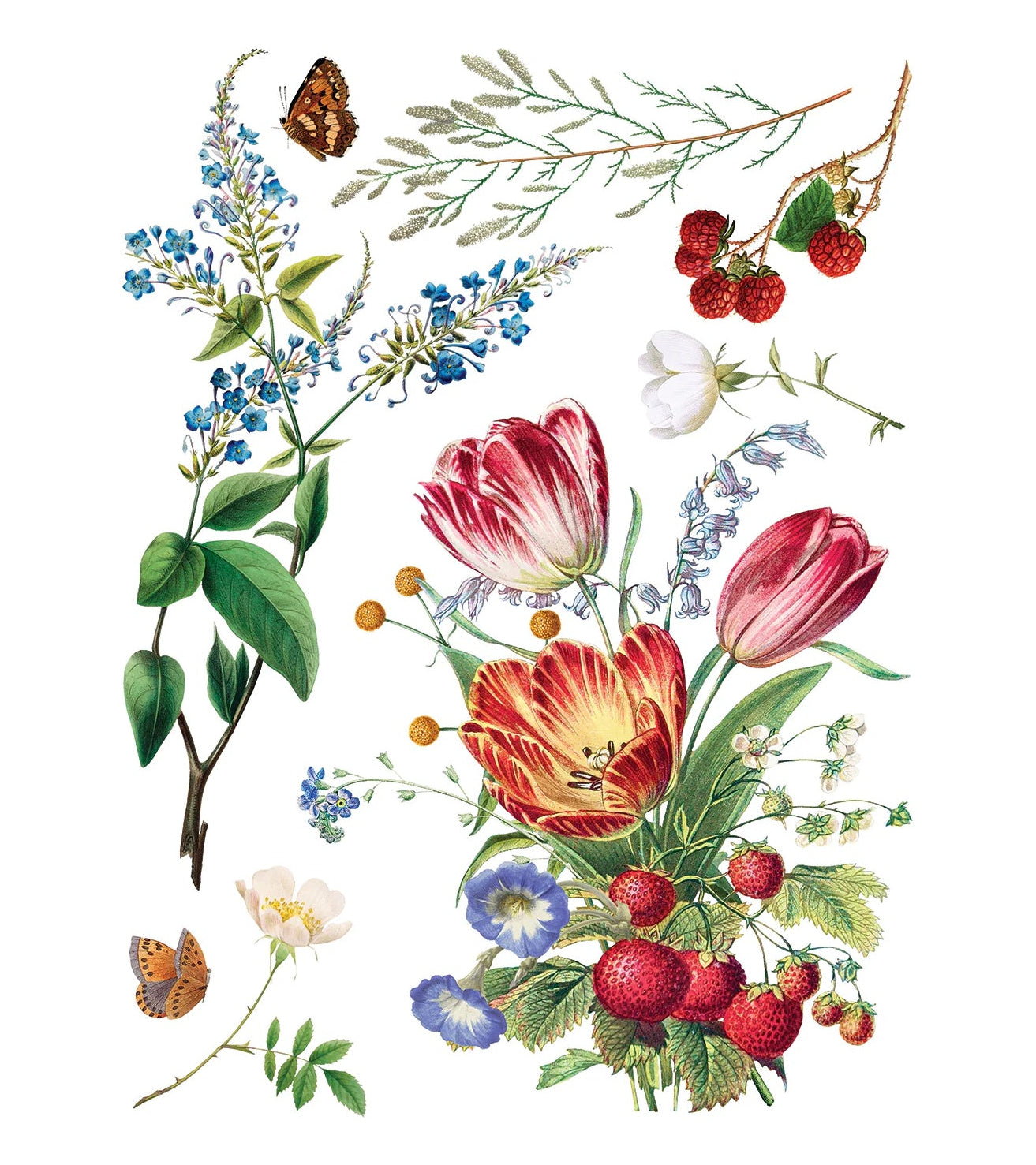 IOD Marche Des Fleurs Decor Transfer by Iron Orchid Designs - 8 Sheets