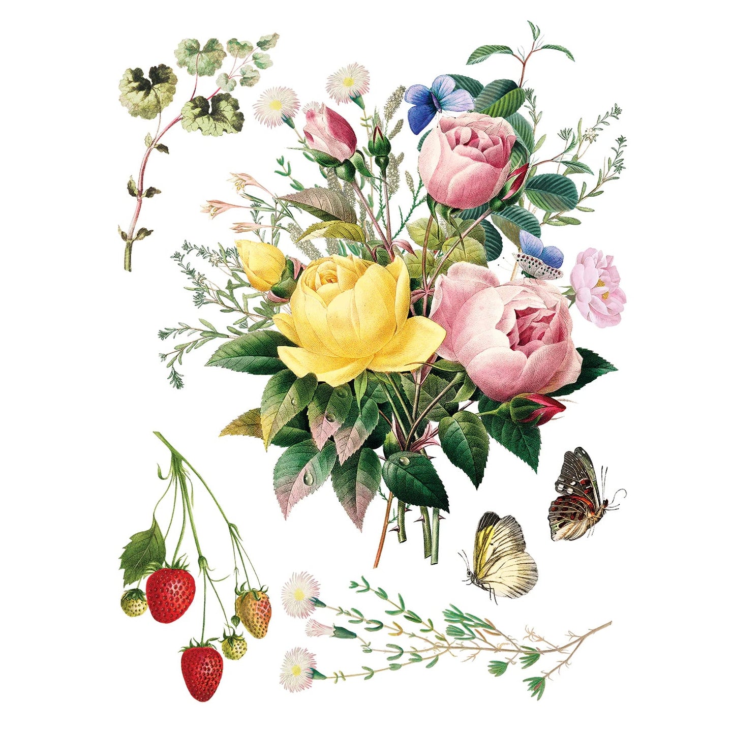 IOD Marche Des Fleurs Decor Transfer by Iron Orchid Designs - 8 Sheets