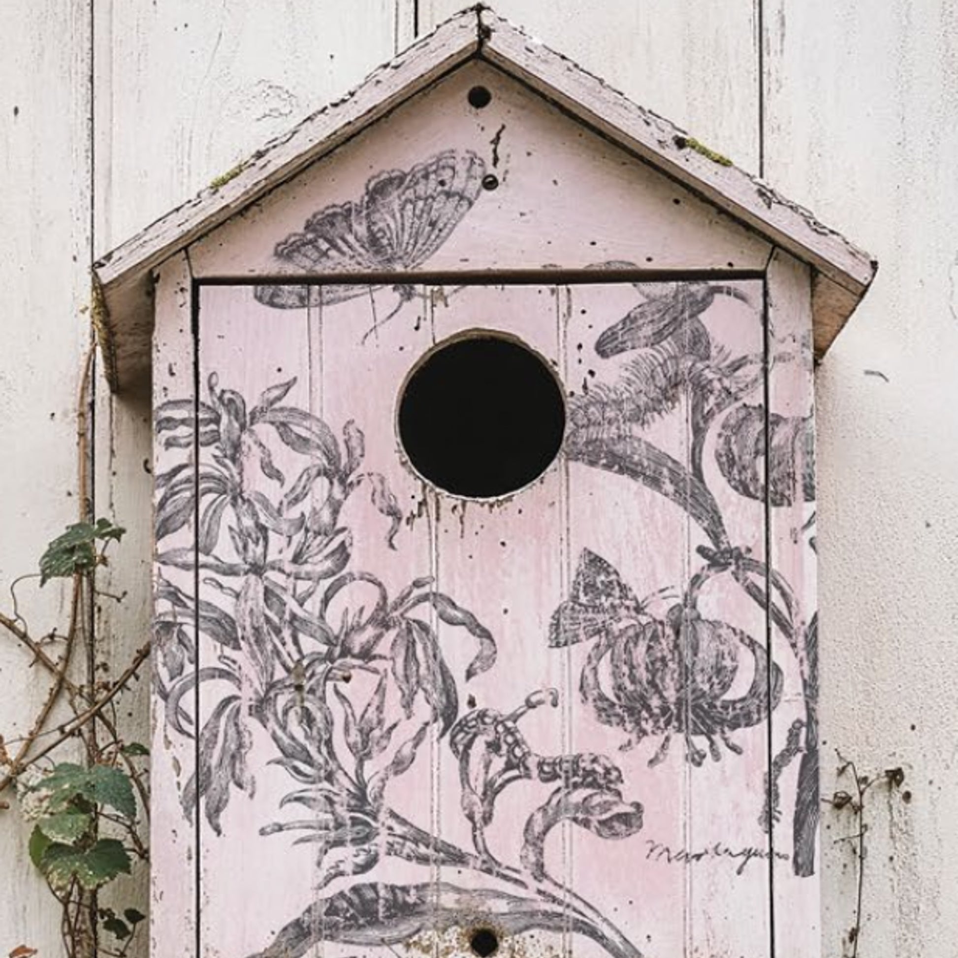 IOD Nature's Etchings Decor Stamp by Iron Orchid Designs - Summer 2026
