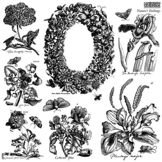 IOD Nature's Etchings Decor Stamp by Iron Orchid Designs - Summer 2026