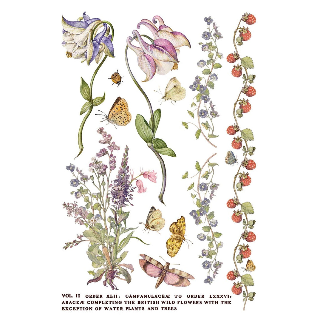 IOD Primrose Isle Decor Transfer by Iron Orchid Designs - Summer 2026