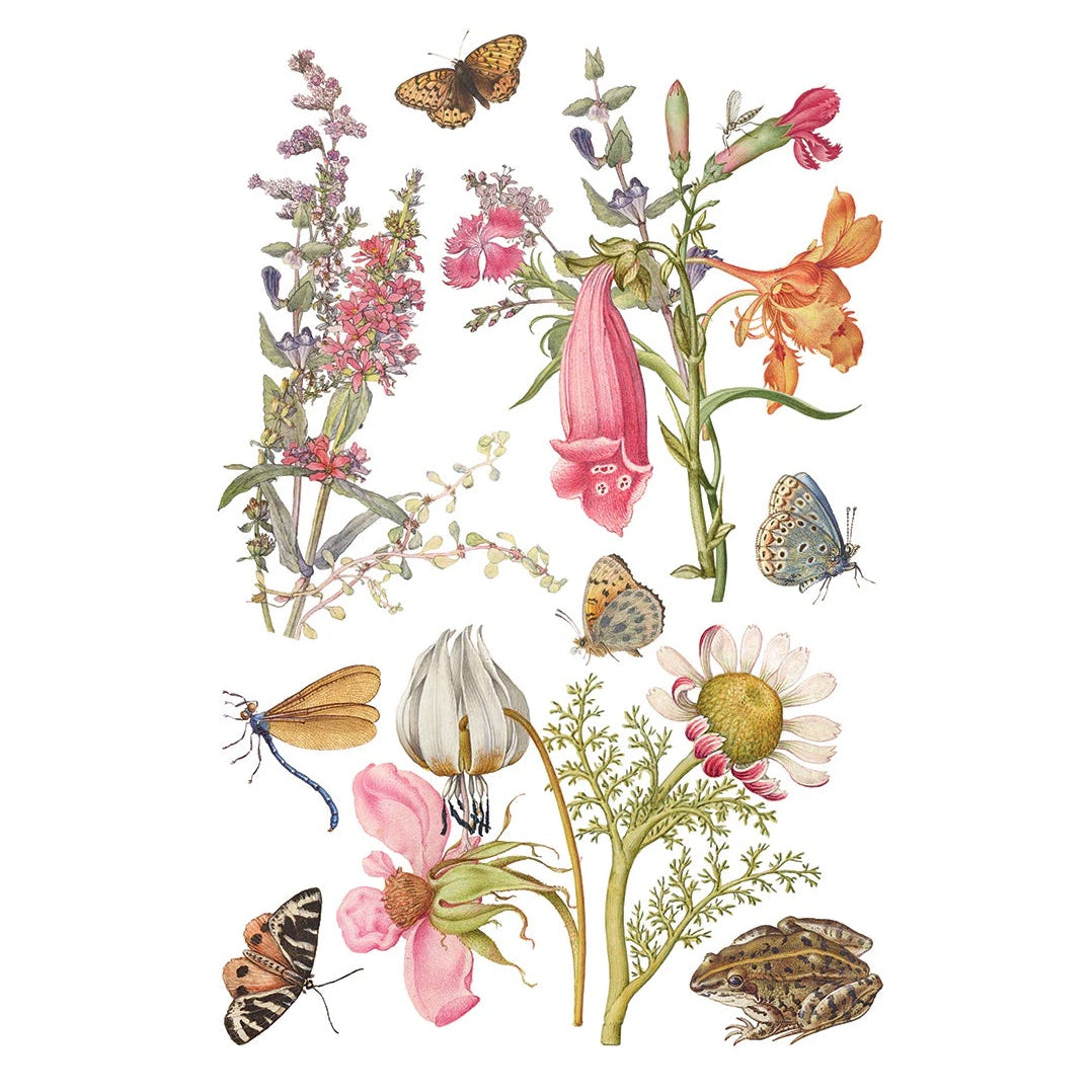 IOD Primrose Isle Decor Transfer by Iron Orchid Designs - Summer 2026