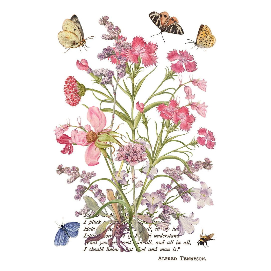 IOD Primrose Isle Decor Transfer by Iron Orchid Designs - Summer 2026