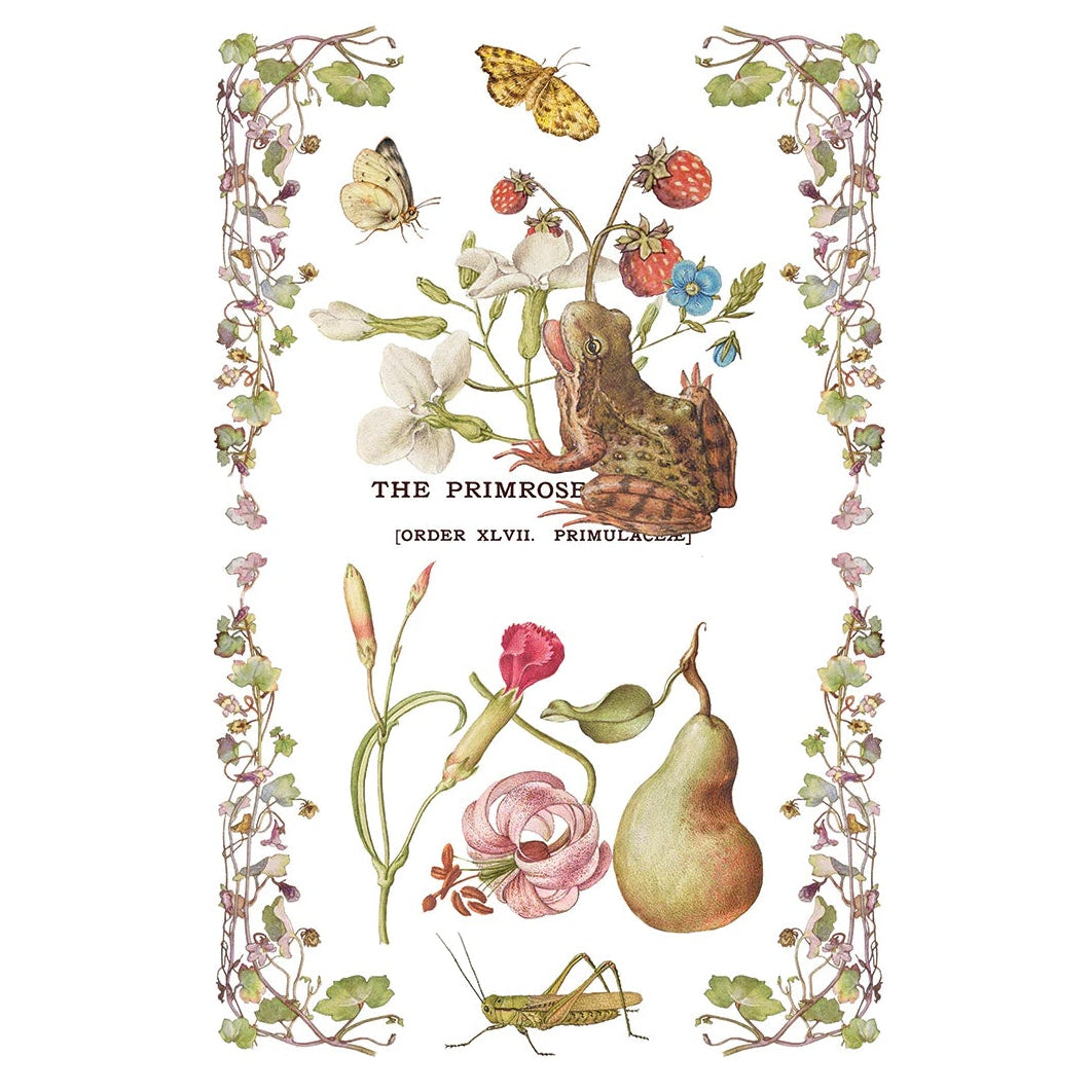 IOD Primrose Isle Decor Transfer by Iron Orchid Designs - Summer 2026
