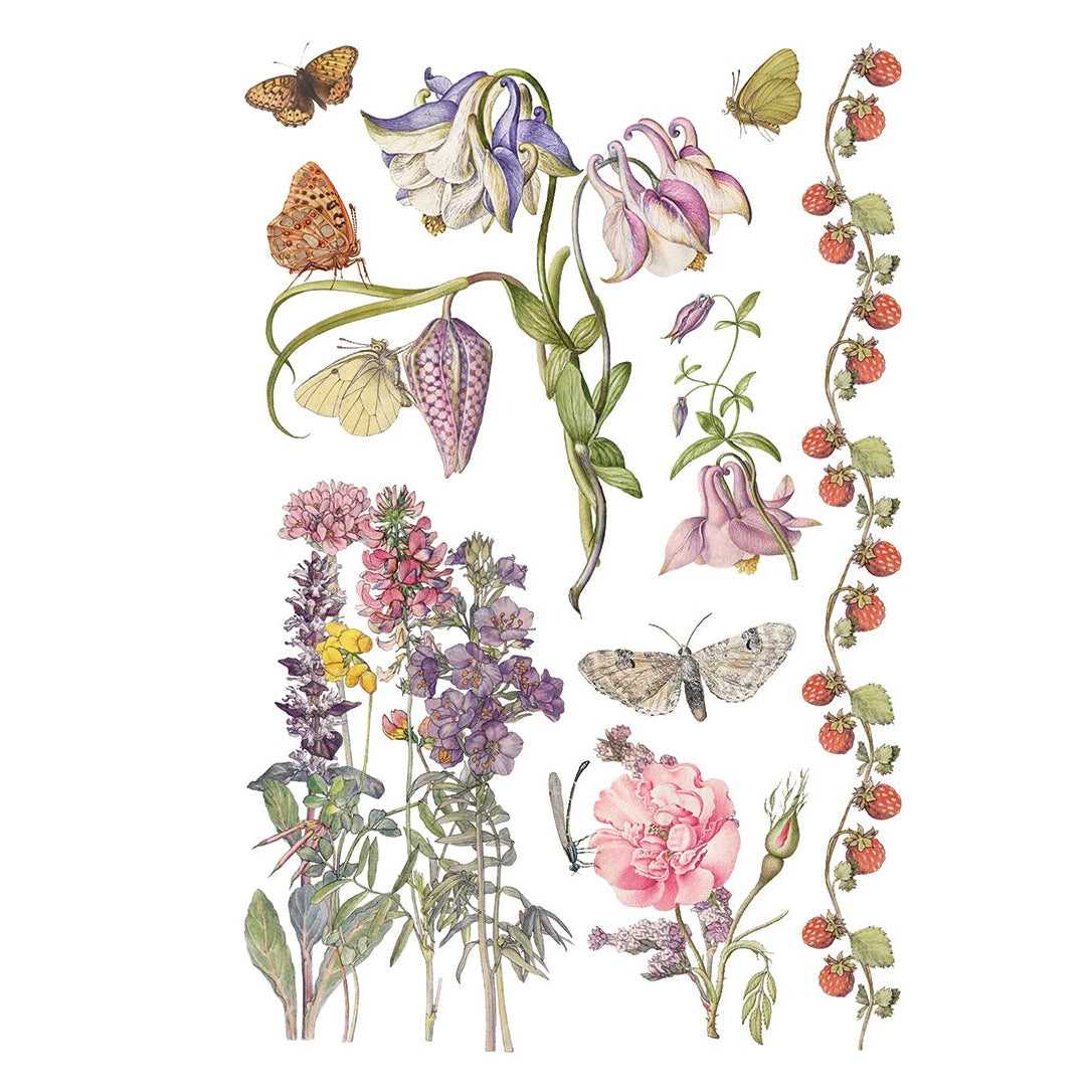IOD Primrose Isle Decor Transfer by Iron Orchid Designs - Summer 2026