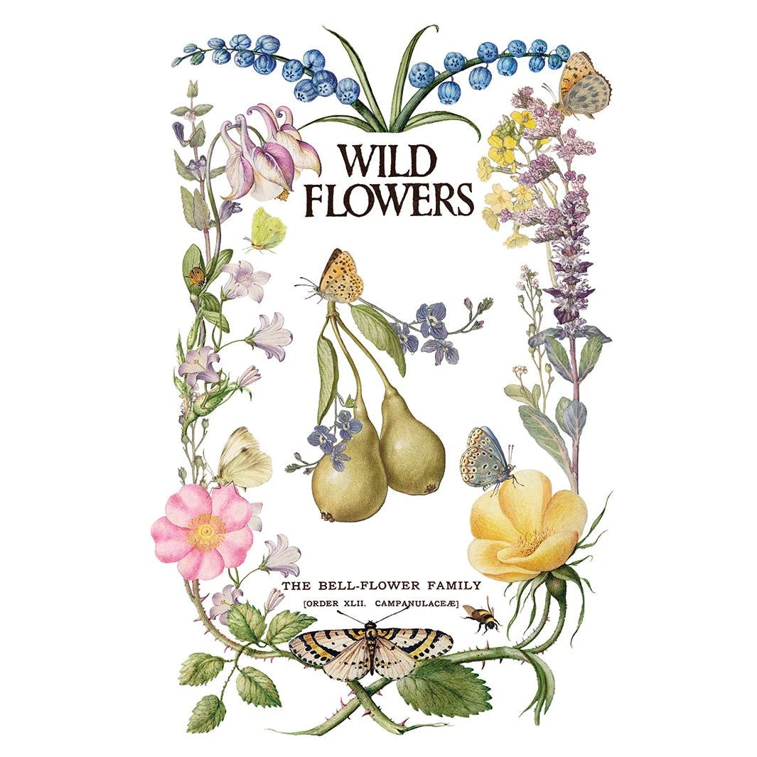 IOD Primrose Isle Decor Transfer by Iron Orchid Designs - Summer 2026