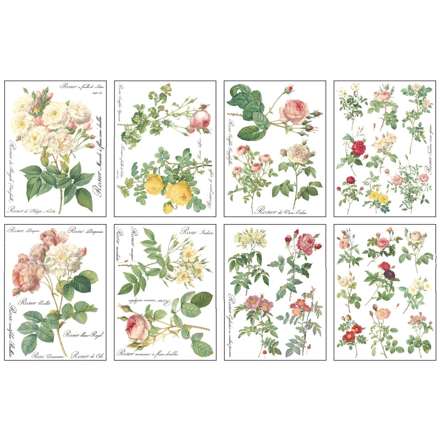 IOD Rose Botanical Decor Transfer - Iron Orchid Designs