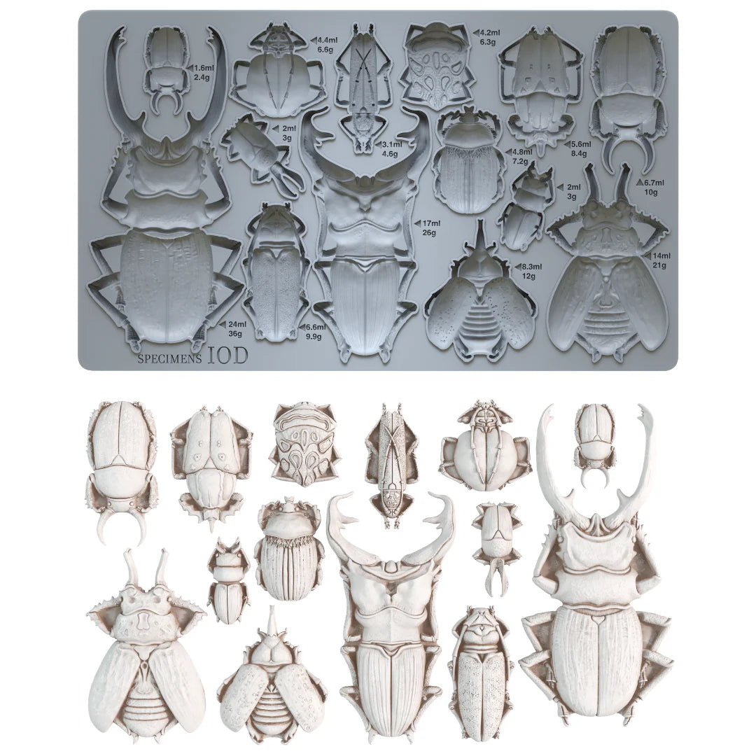 IOD Specimens Decor Mould by Iron Orchid Designs - 6x10 Silicone Mold