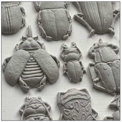 IOD SPECIMENS Decor Mould by Iron Orchid Designs