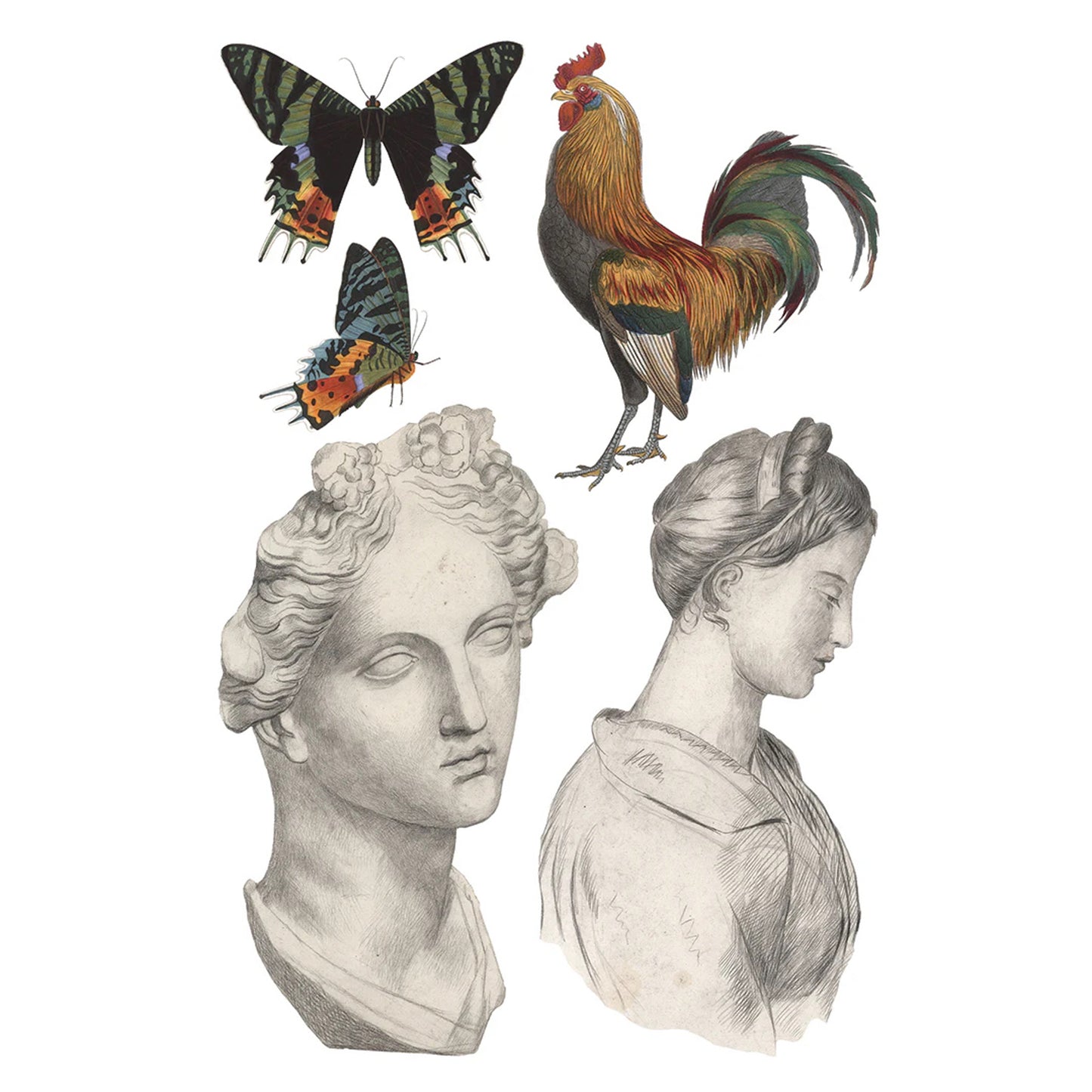 IOD Saint Ouen Decor Transfer by Iron Orchid Designs Spring 2026