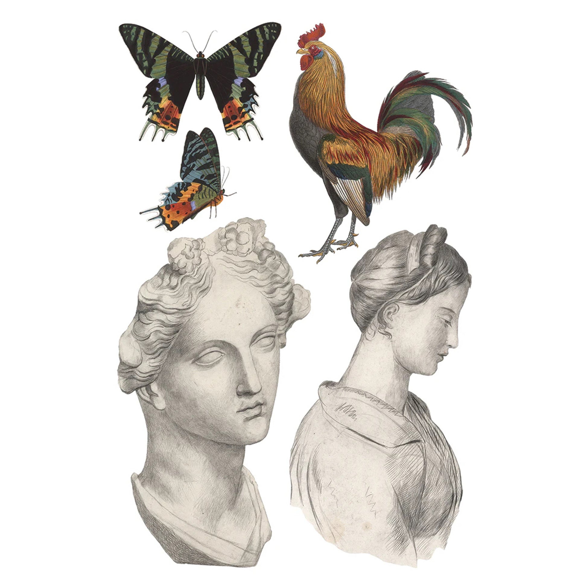 IOD Saint Ouen Decor Transfer by Iron Orchid Designs Spring 2026