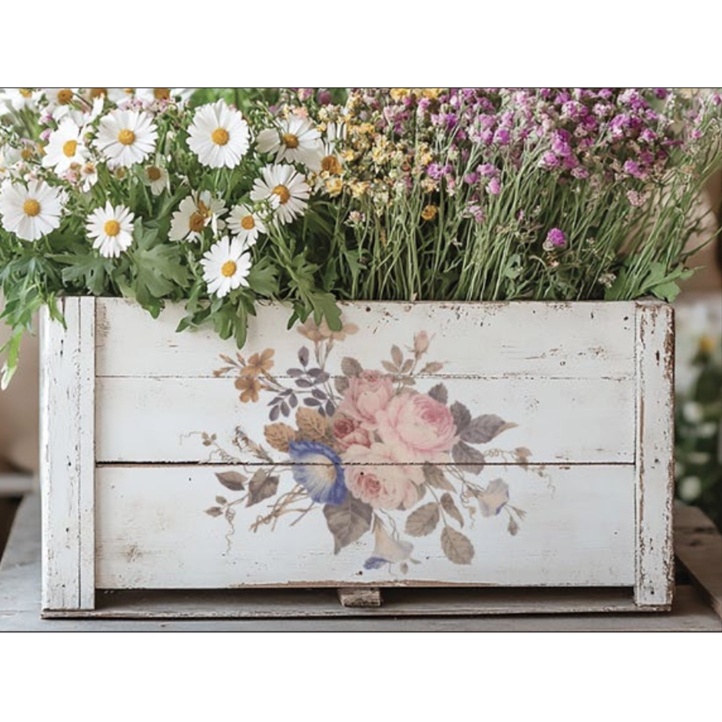 IOD Saint Ouen Decor Transfer by Iron Orchid Designs Spring 2026