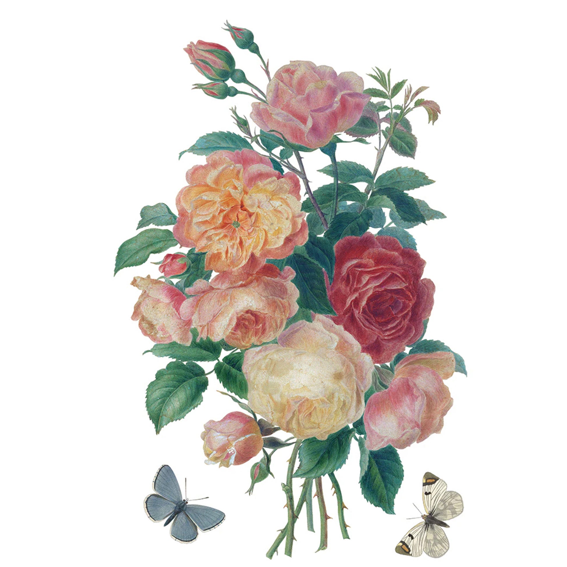 IOD Saint Ouen Decor Transfer by Iron Orchid Designs Spring 2026