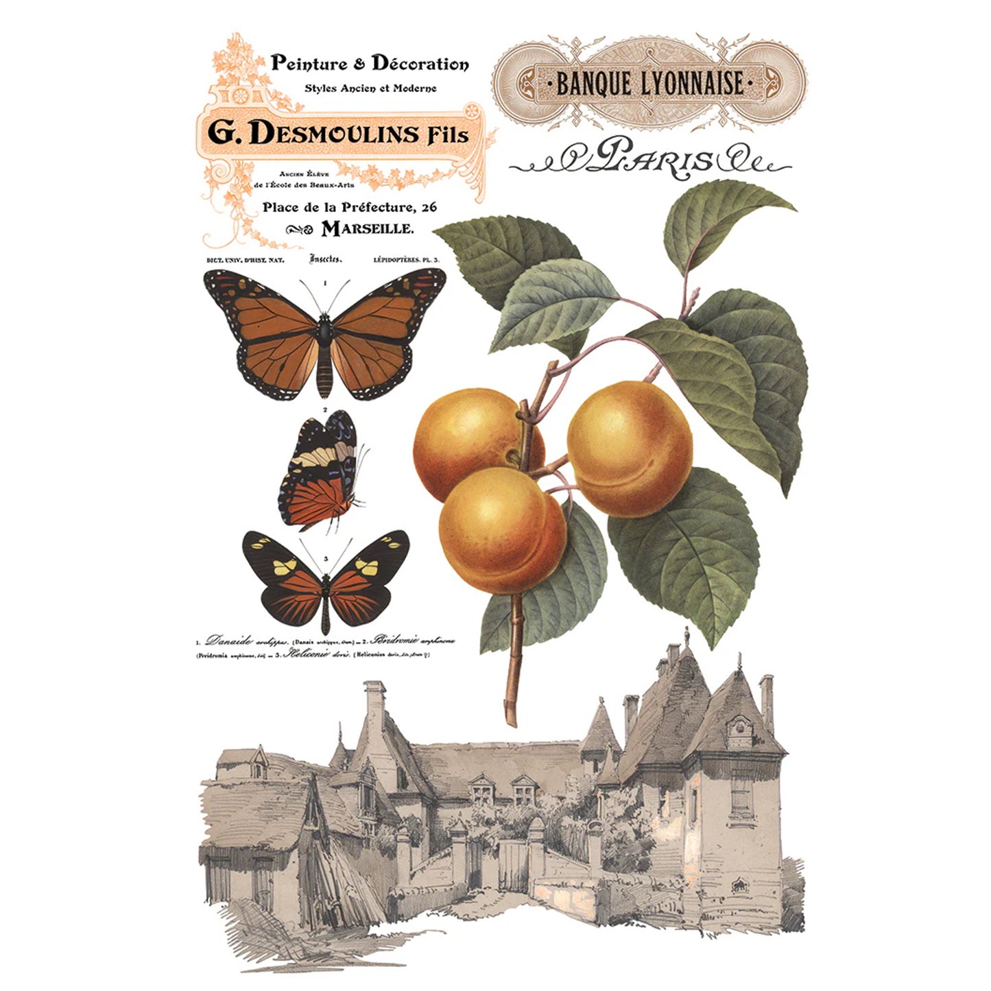 IOD Saint Ouen Decor Transfer by Iron Orchid Designs Spring 2026