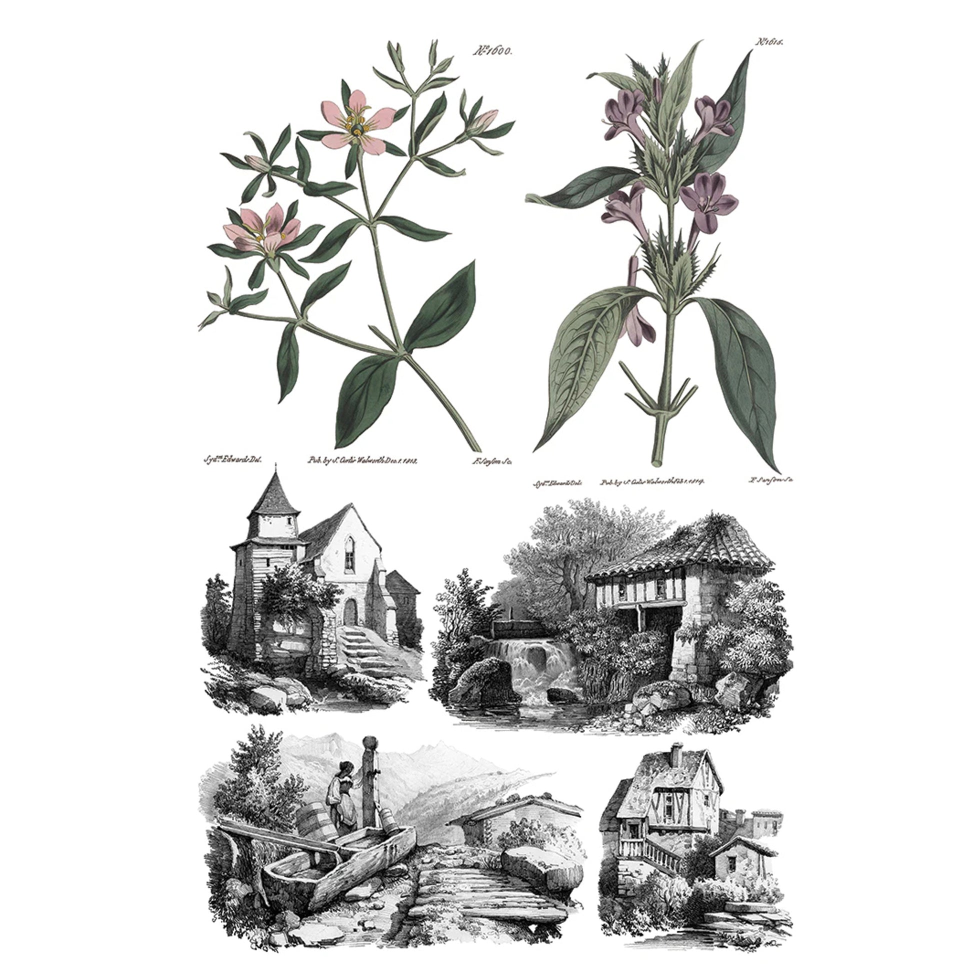 IOD Saint Ouen Decor Transfer by Iron Orchid Designs Spring 2026