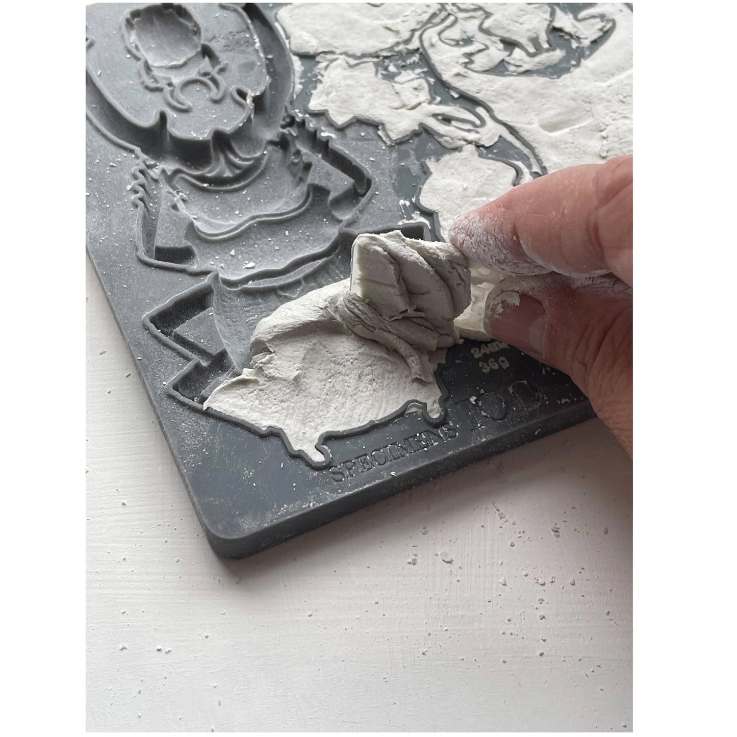 IOD Specimens Decor Mould - Iron Orchid Designs
