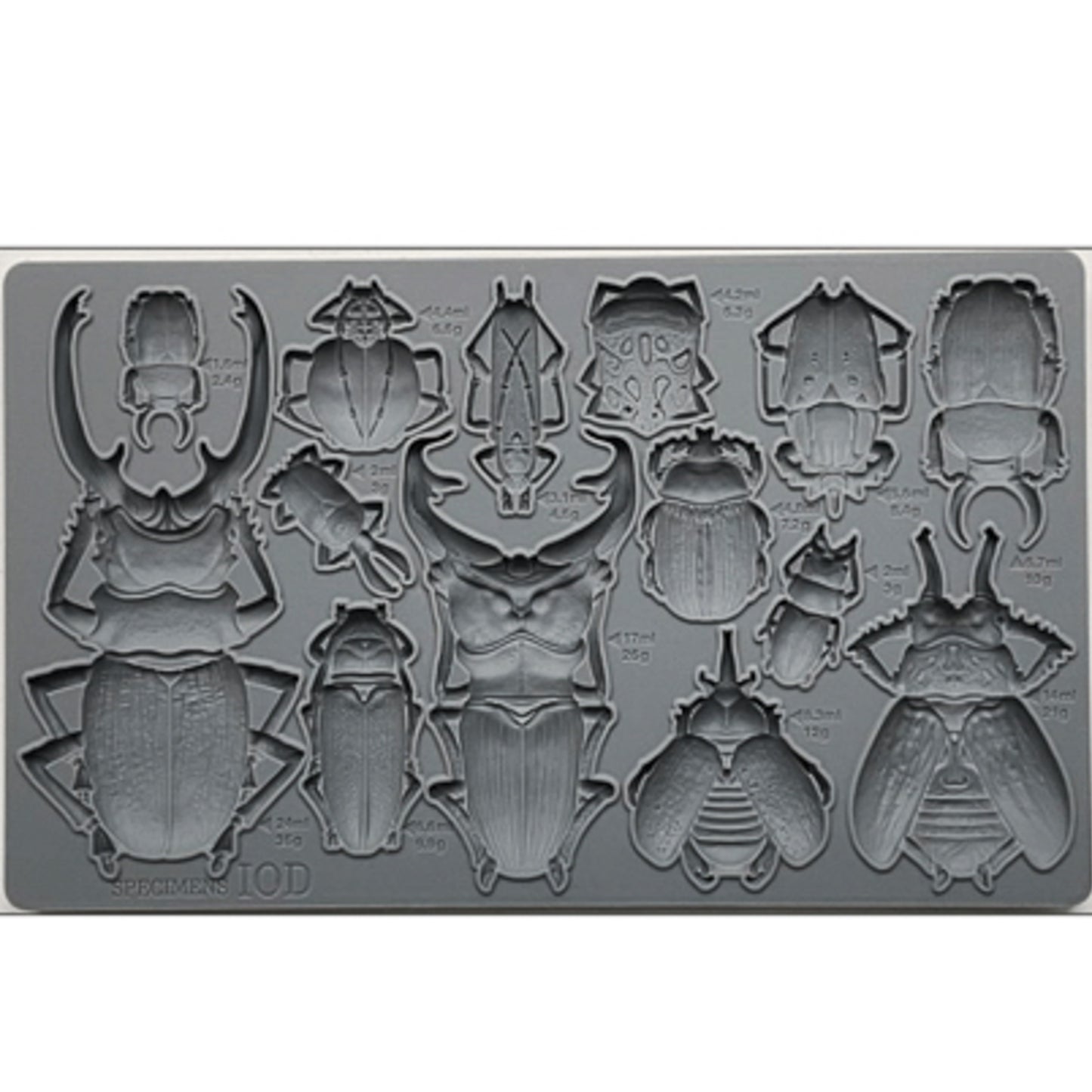 IOD Specimens Decor Mould by Iron Orchid Designs - 6x10 Silicone Mold