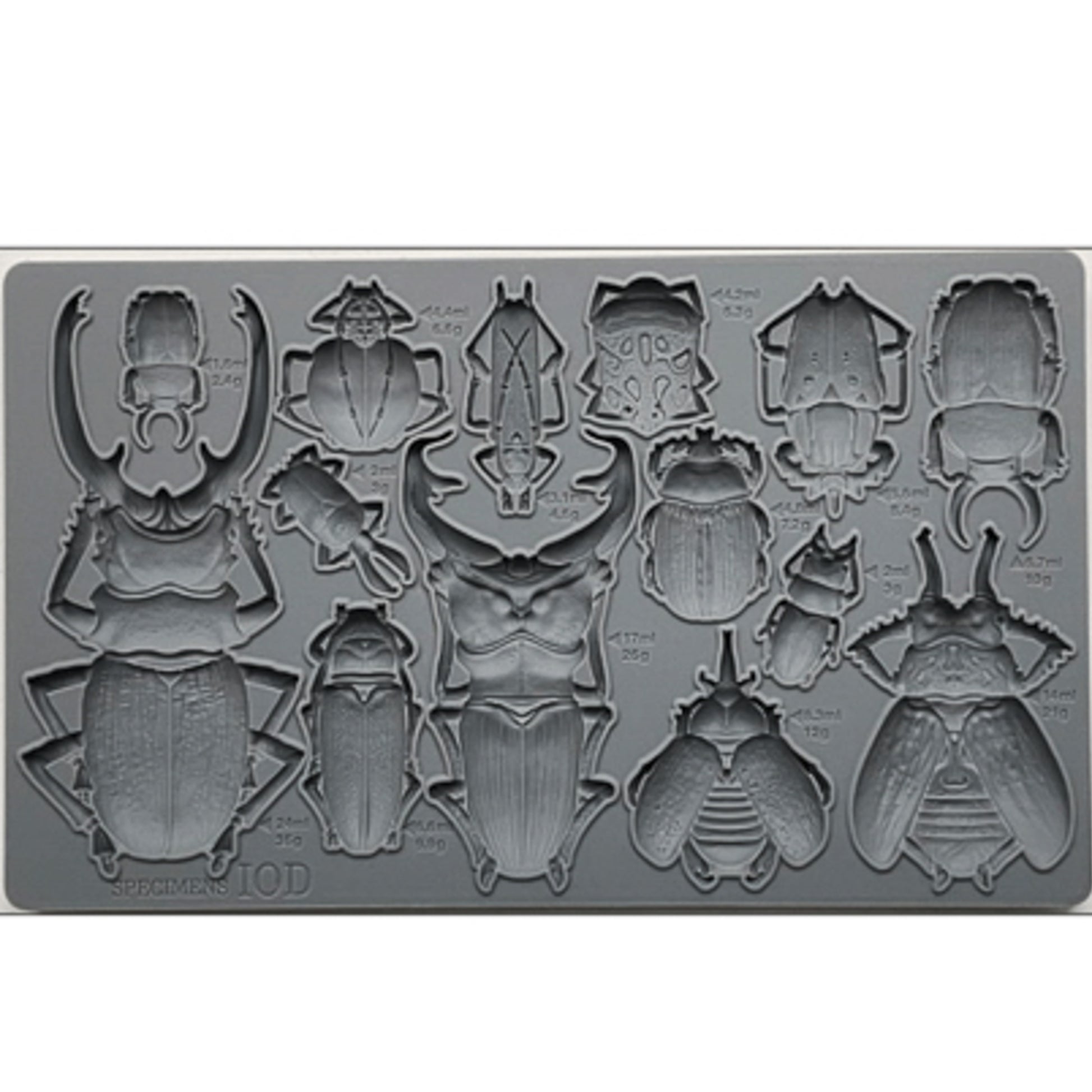 IOD Specimens Decor Mould by Iron Orchid Designs - 6x10 Silicone Mold
