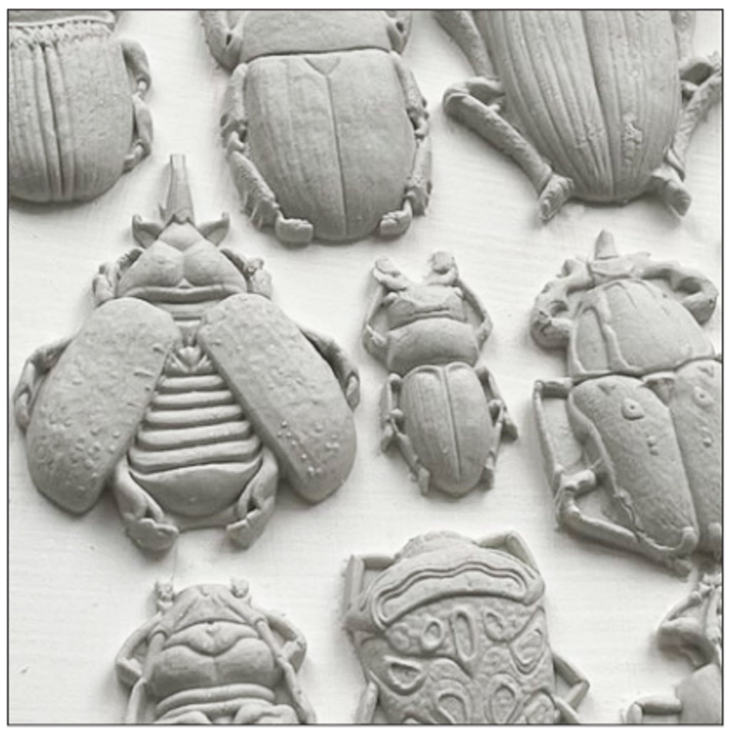 IOD Specimens Decor Mould by Iron Orchid Designs - 6x10 Silicone Mold