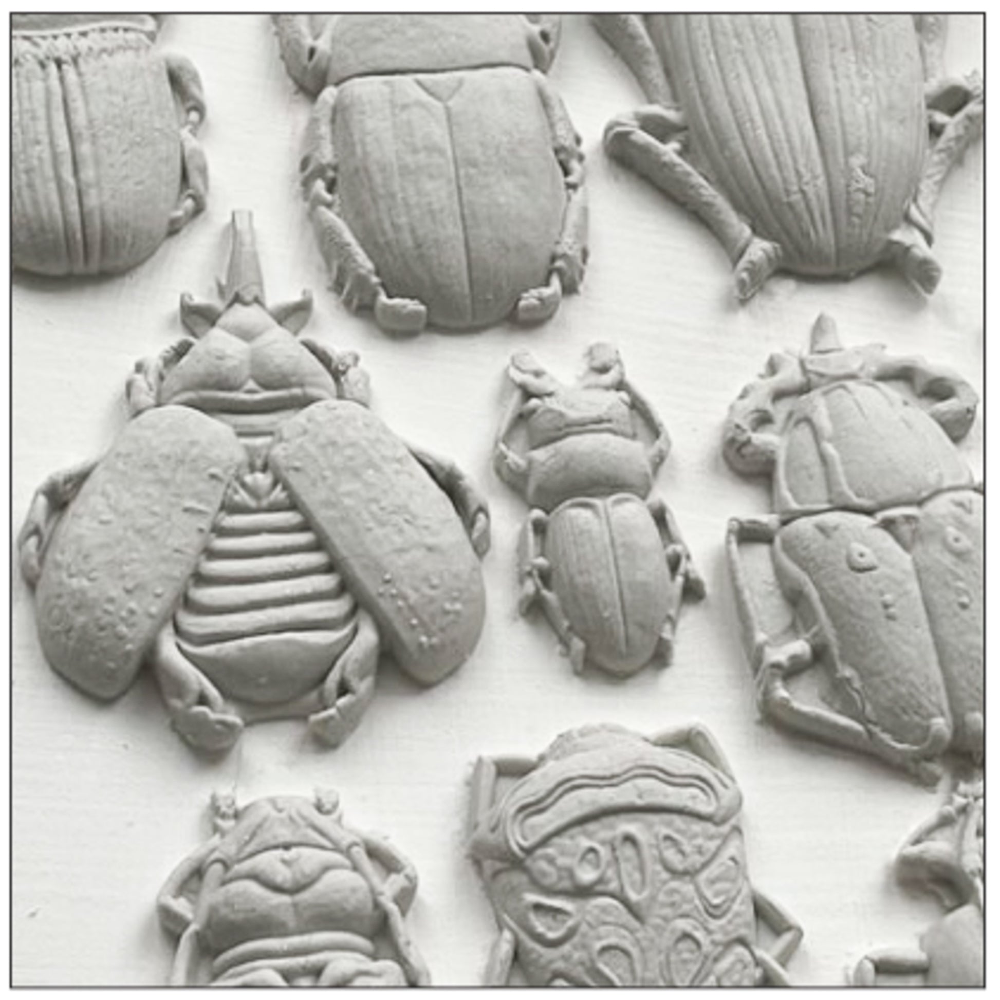 IOD Specimens Decor Mould by Iron Orchid Designs - 6x10 Silicone Mold