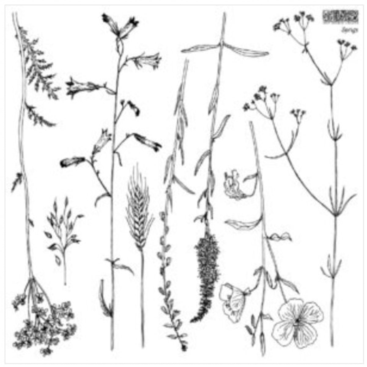 IOD Sprigs Decor Stamp by Iron Orchid Designs - 12"x12" Silicone