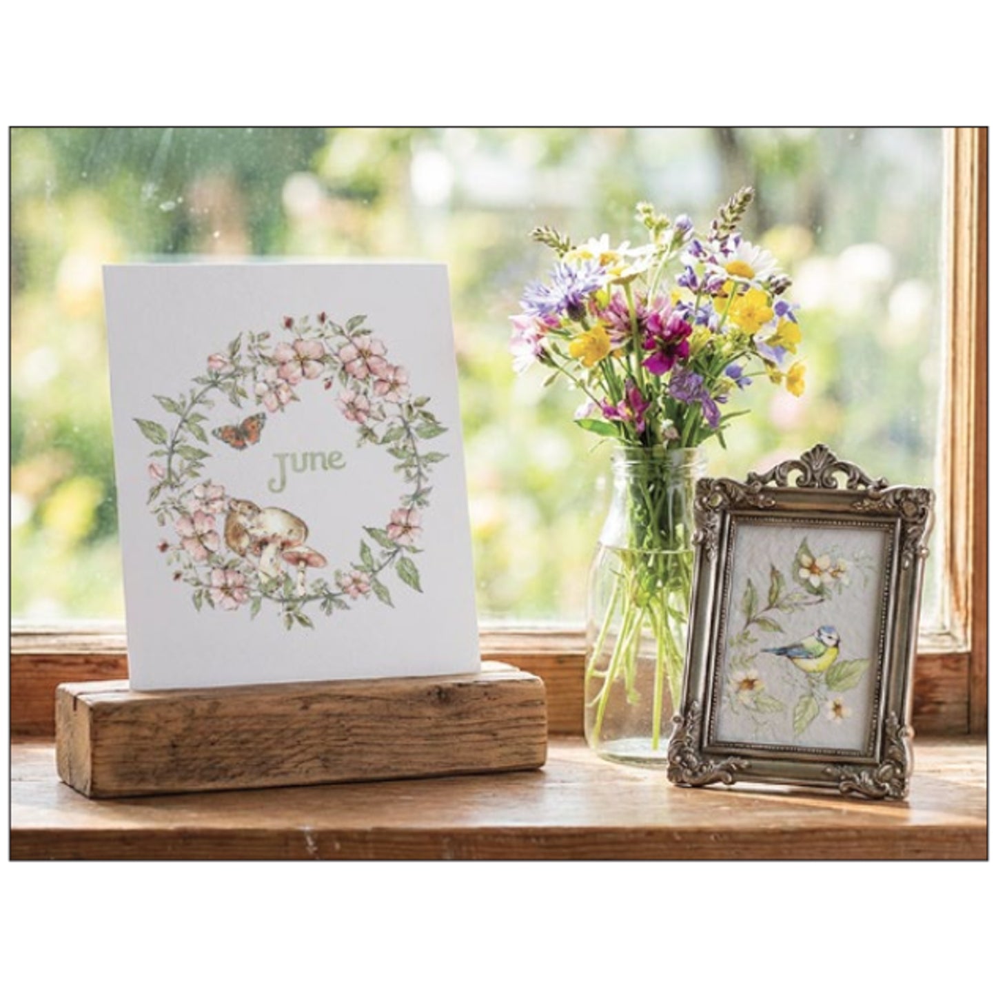 IOD The Bramblewood Diaries Decor Transfer by Iron Orchid Designs