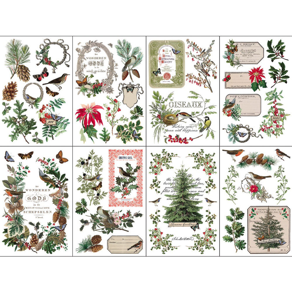 IOD Winter Botanist Transfer by Iron Orchid Designs - 8 Sheet Set