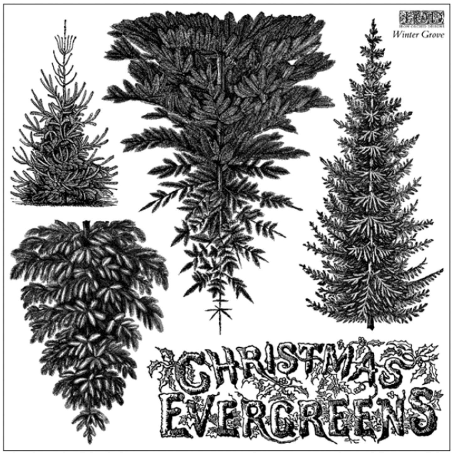 IOD Winter Grove Decor Stamp by Iron Orchid Designs - Winter 2026