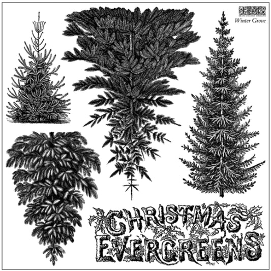 IOD Winter Grove Decor Stamp by Iron Orchid Designs - Winter 2026