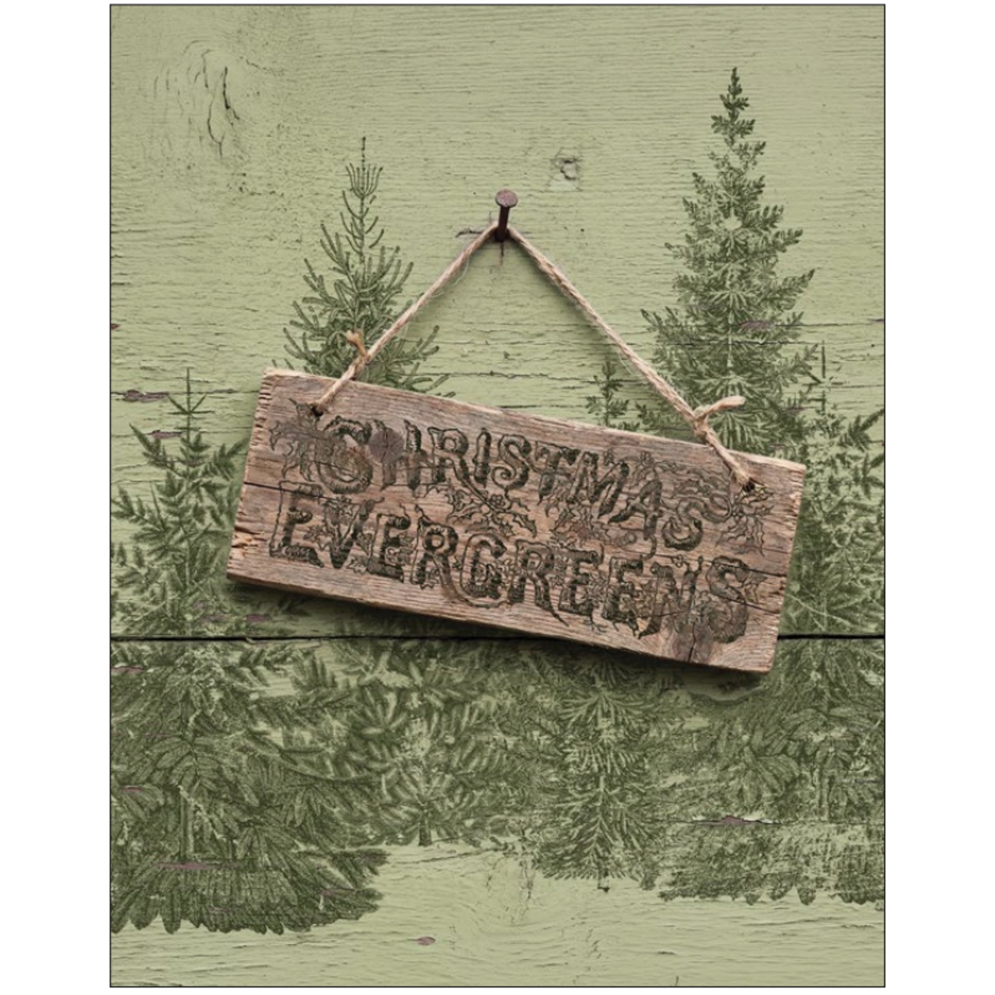 IOD Winter Grove Decor Stamp by Iron Orchid Designs - Winter 2026