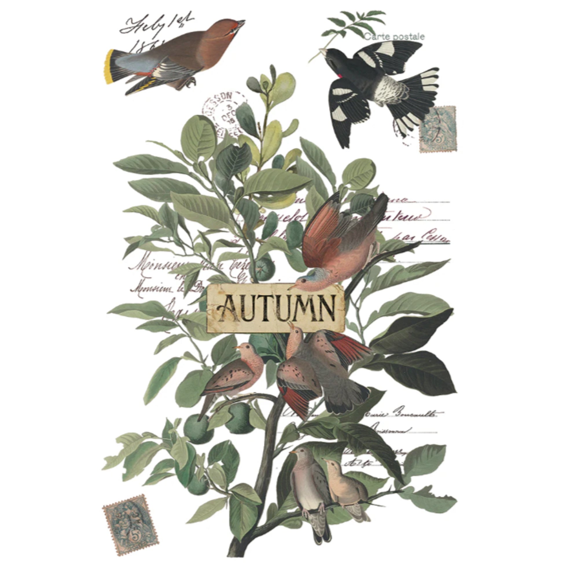IOD Winter's Calling Decor Transfer by Iron Orchid Designs - 8 Sheets
