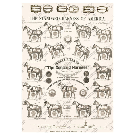 JRV A4 Rice Paper - Concord Harness