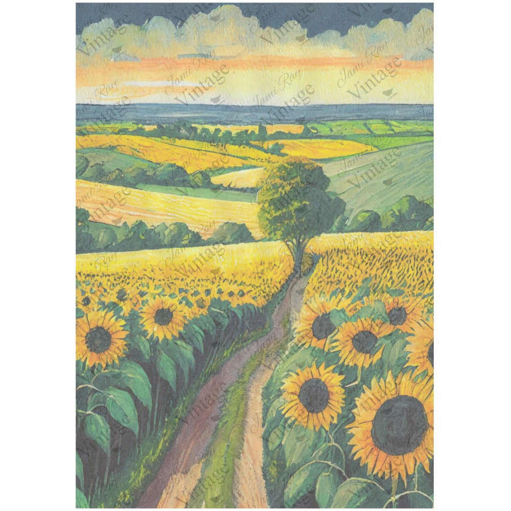 JRV A4 Rice Paper - Sunflower Fields