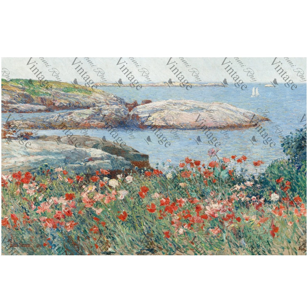 JRV Medium Rice Paper - Poppies on The Beach