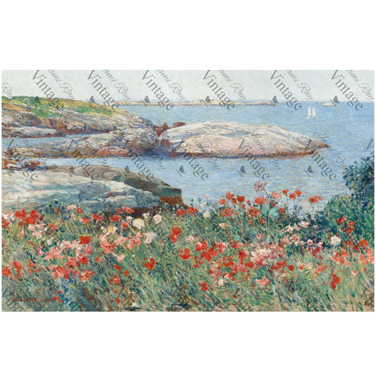 JRV Medium Rice Paper - Poppies on The Beach