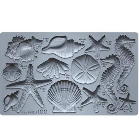 IOD SEA SHELLS Decor Mould by Iron Orchid Designs