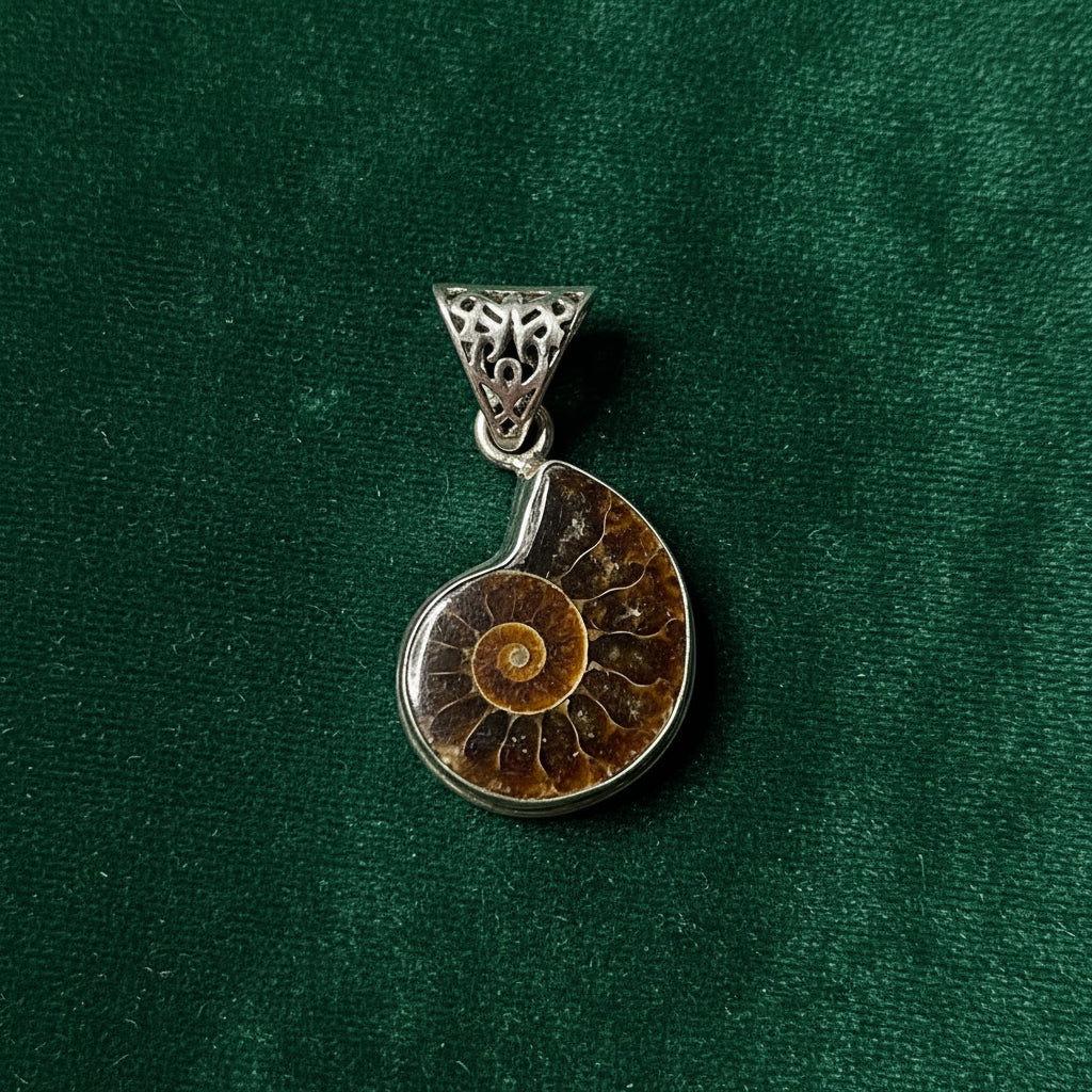 Ammonite Fossil & Sterling Silver Pendant