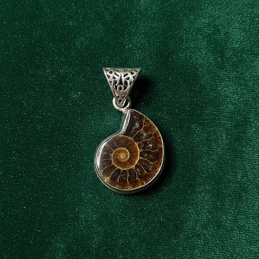 Ammonite Fossil & Sterling Silver Pendant