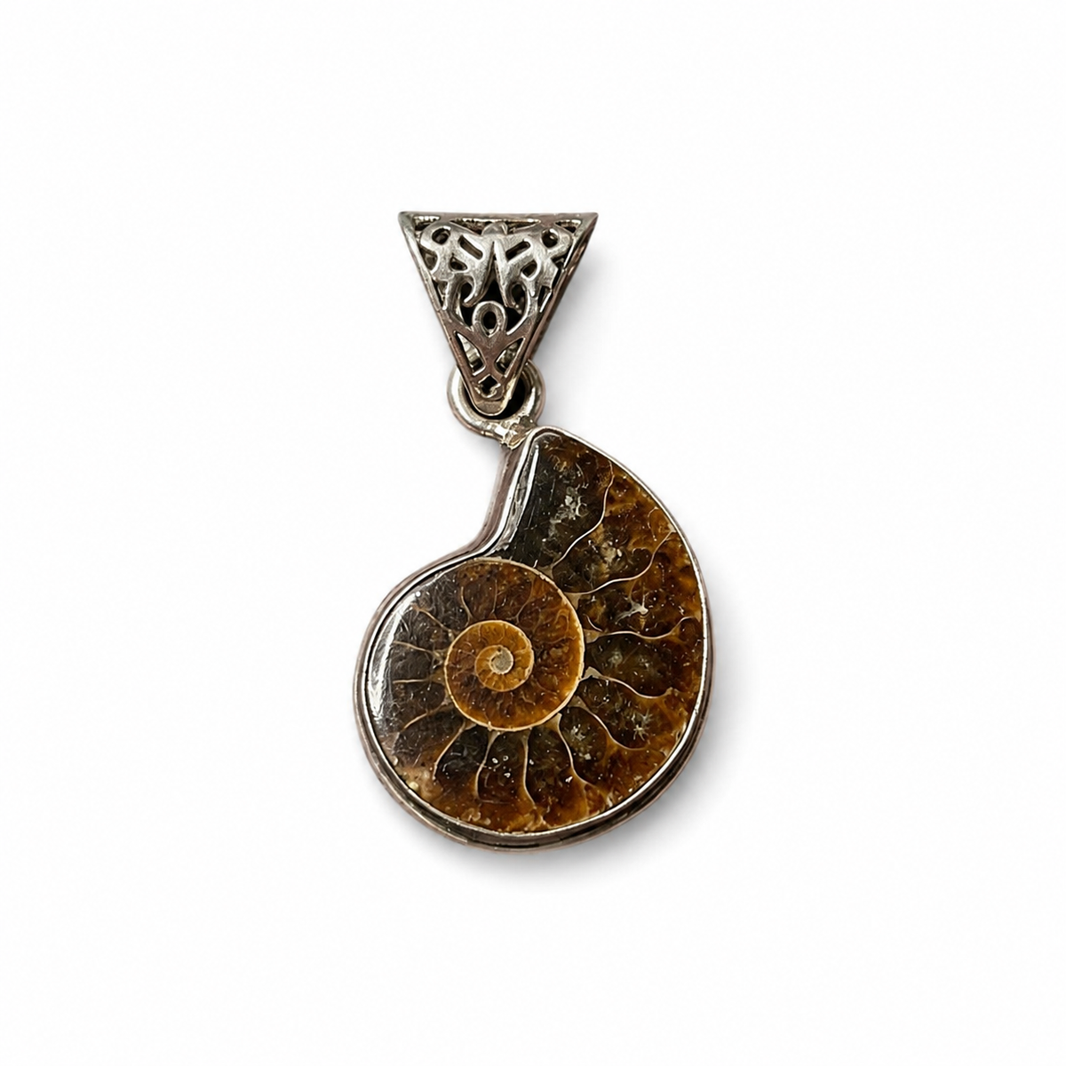 Ammonite Fossil Pendant in Sterling Silver Setting - Natural Texture