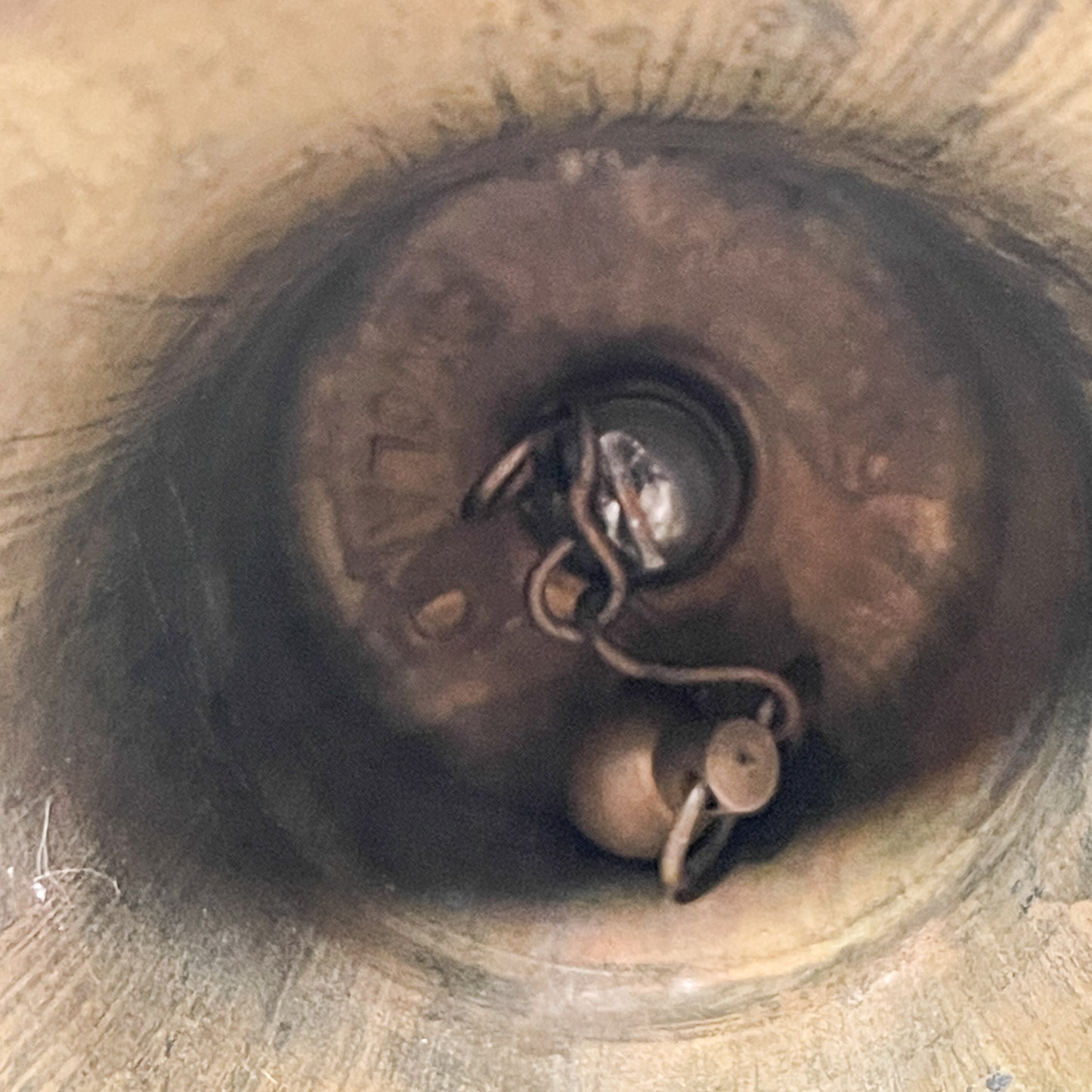 Vintage Brass Nautical Bell with Clapper - Maritime Decor England