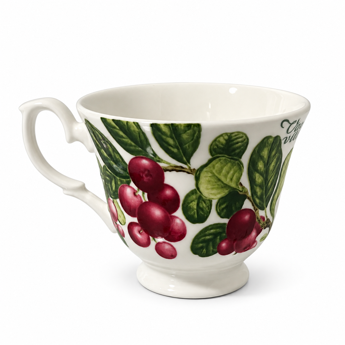 Vintage Duchess Fine Bone Chine Lingonberry Teacup - Made in England