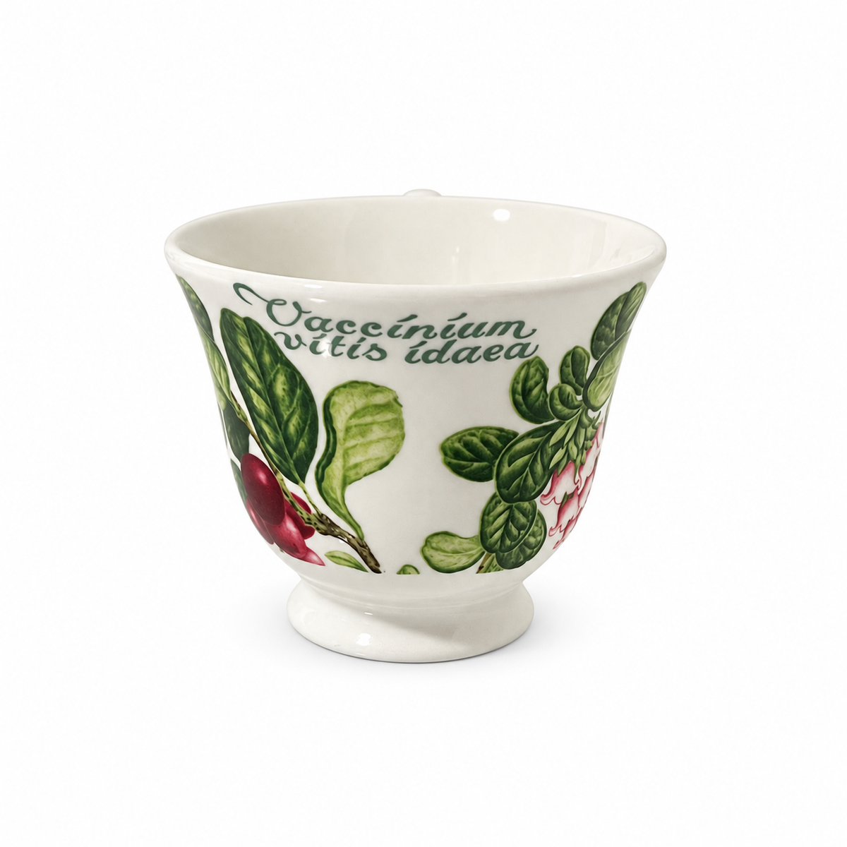 Vintage Duchess Fine Bone Chine Lingonberry Teacup - Made in England