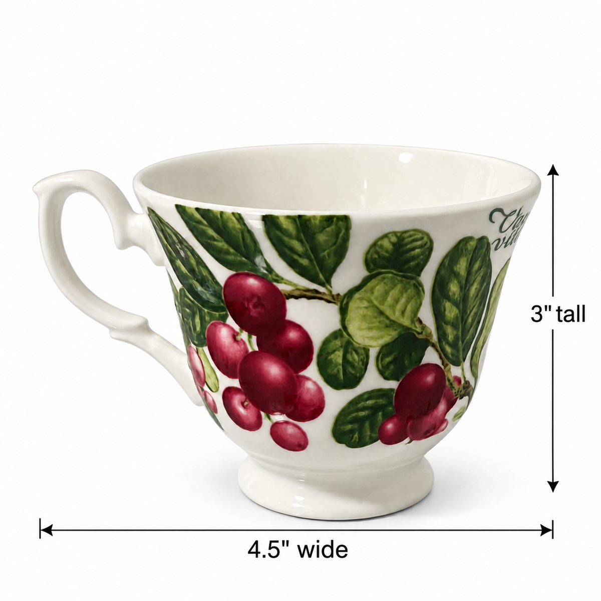 Vintage Duchess Fine Bone Chine Lingonberry Teacup - Made in England