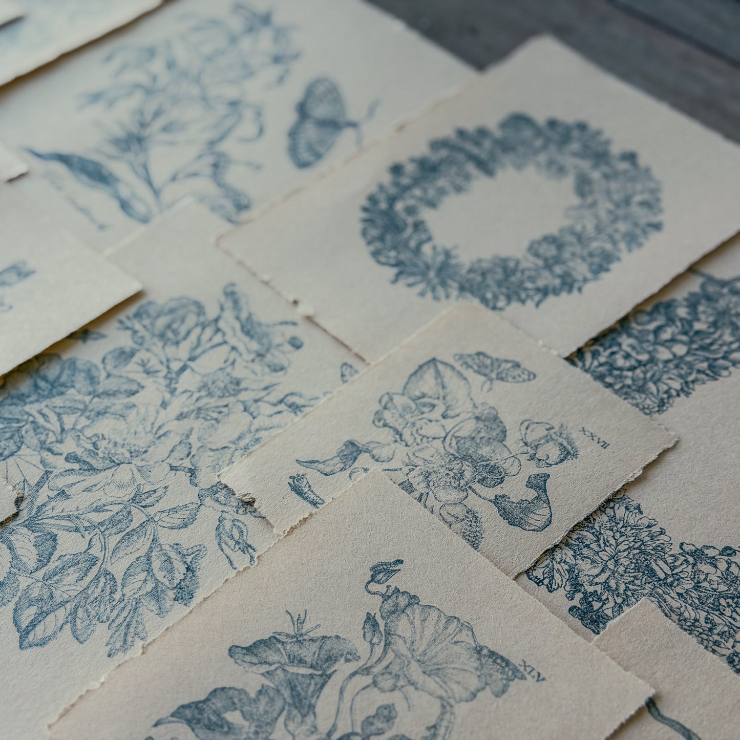 IOD Nature's Etchings Decor Stamp by Iron Orchid Designs - Summer 2026