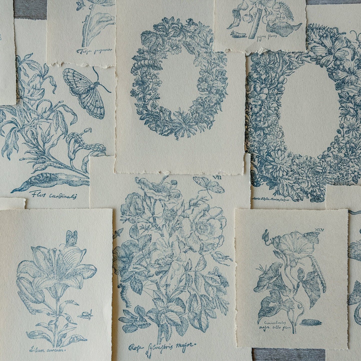 IOD Nature's Etchings Decor Stamp by Iron Orchid Designs - Summer 2026