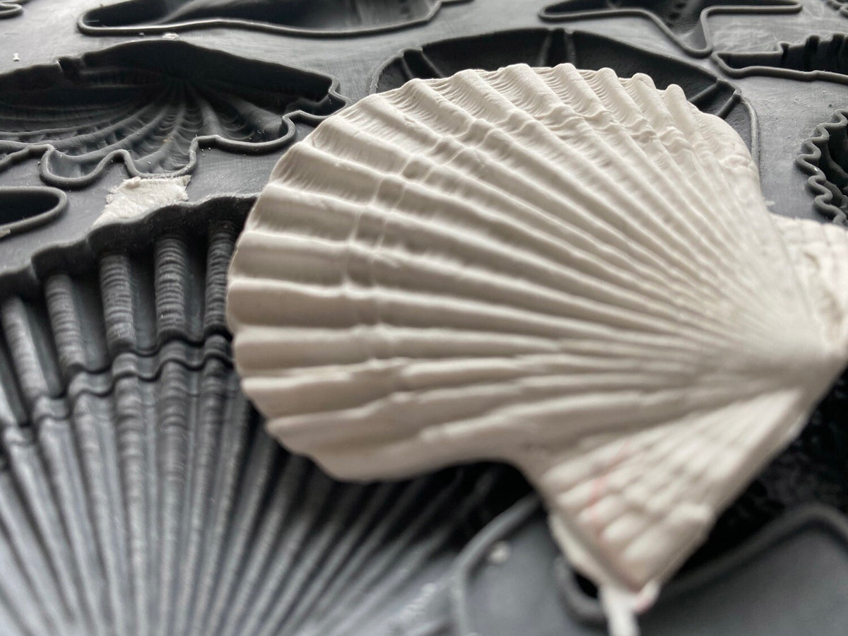 IOD Sea Shells Decor Mould by Iron Orchid Designs - 6x10 Silicone