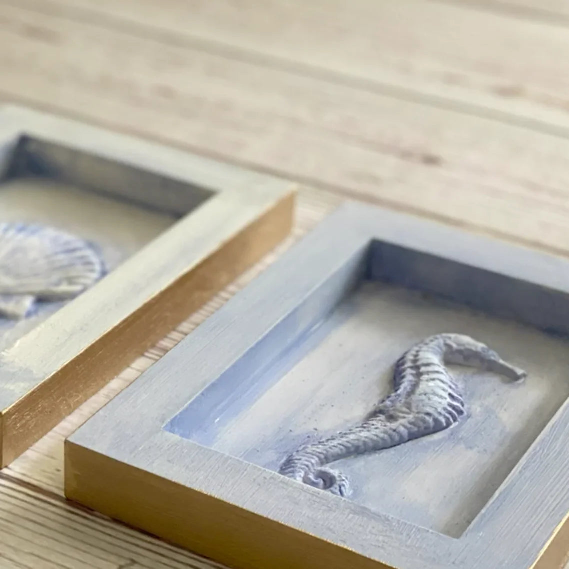 IOD Sea Shells Decor Mould by Iron Orchid Designs - 6x10 Silicone