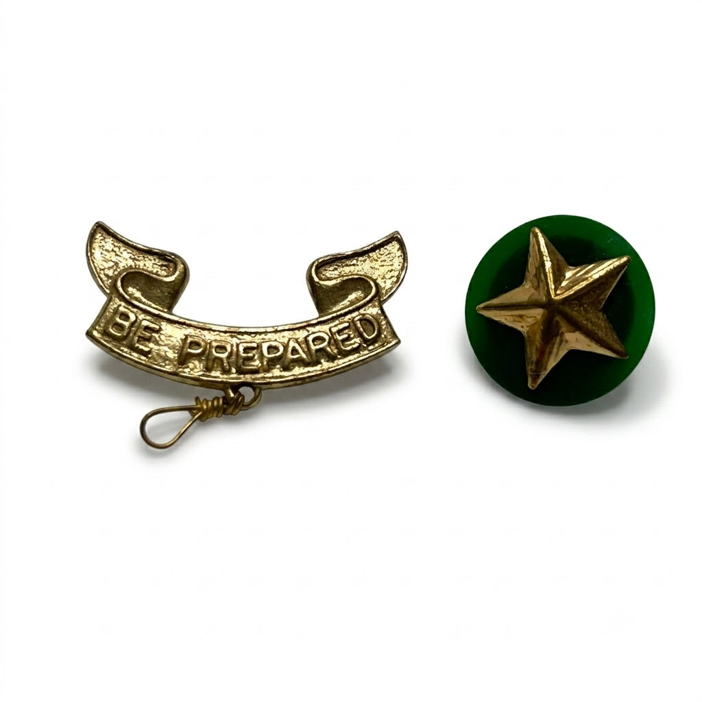 Vintage Boy Scouts of America Pins - Set of 2 - Scroll & Star USA