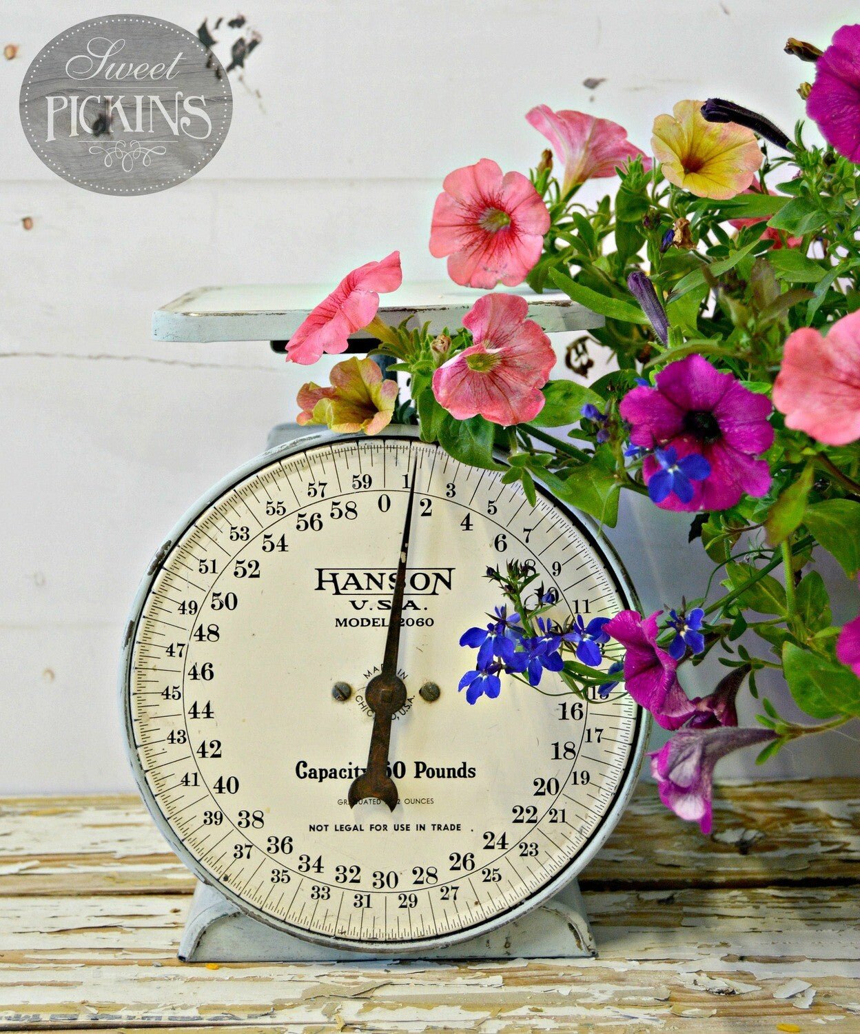 Sweet Pickins Bluebird Milk Paint - Food Safe, Non-Toxic & VOC Free